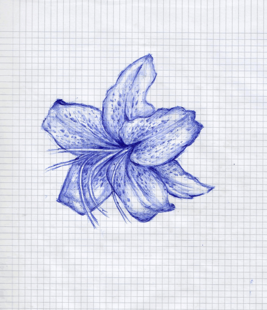 Lily