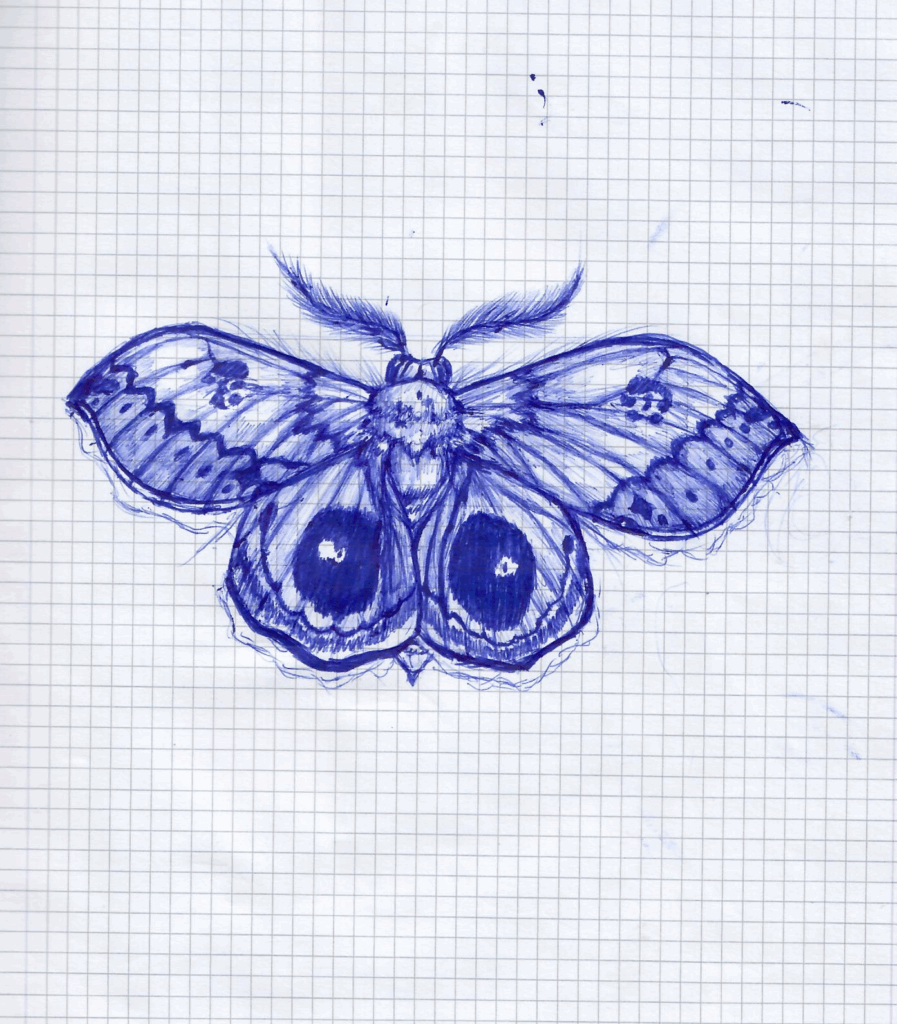 Moth