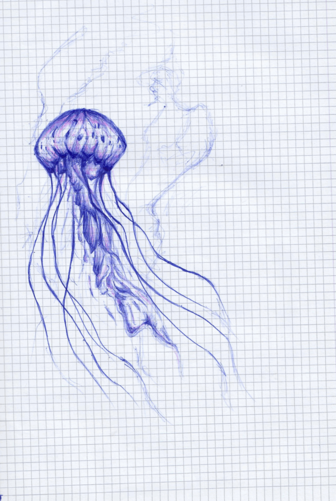 Jellyfish