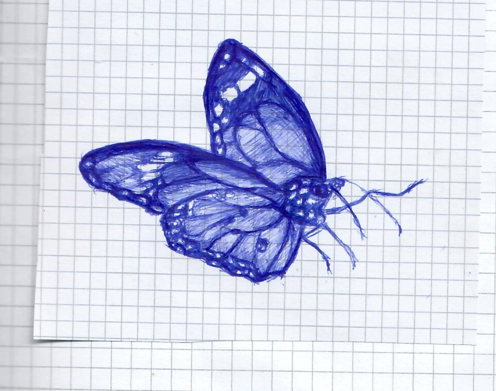 sketches0020